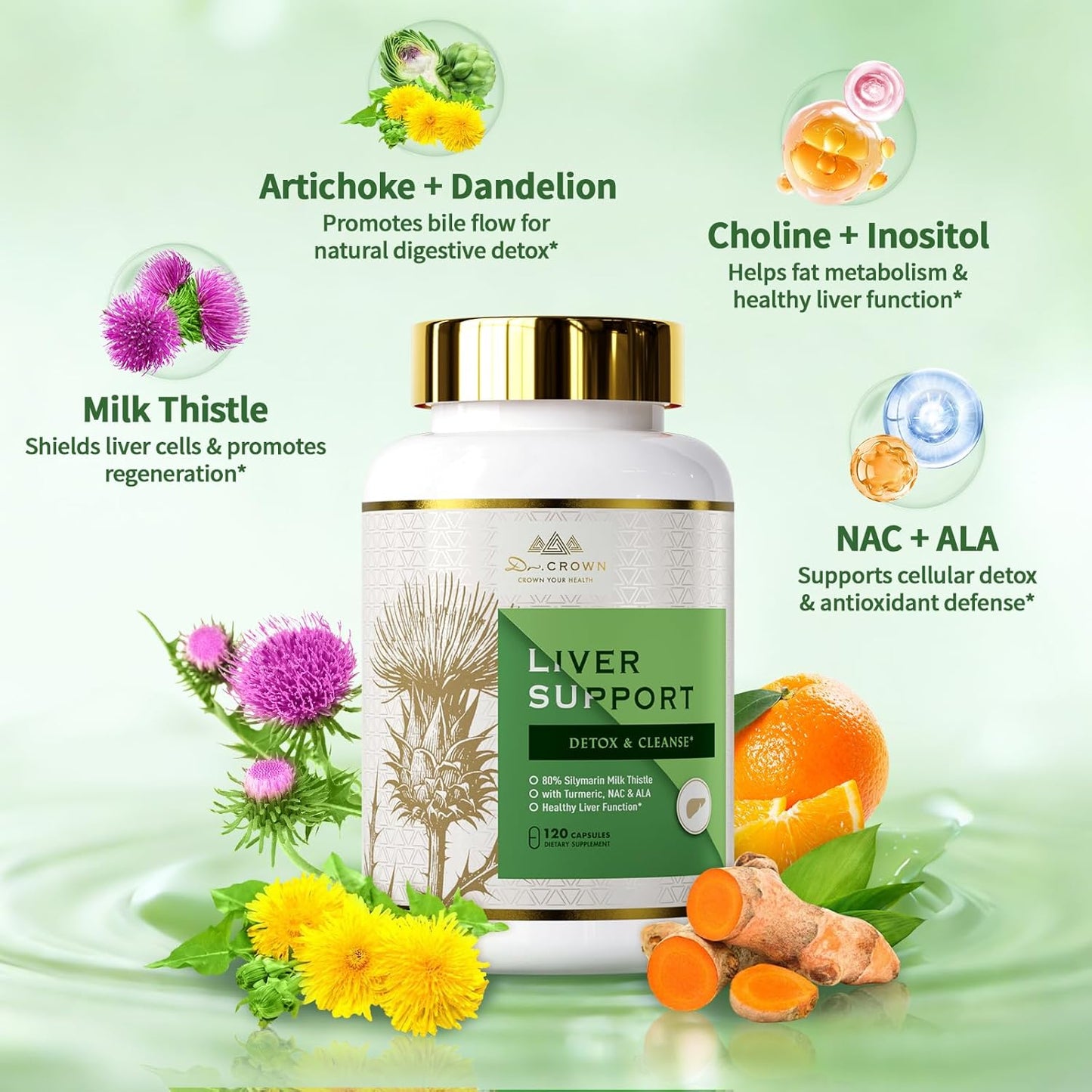 Liver Support